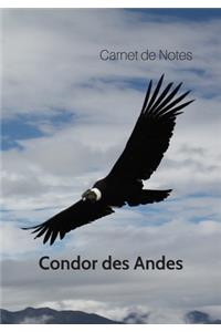 Carnet de Notes Condor des Andes