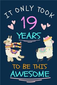 It Only Took 19 Years to be this Awesome