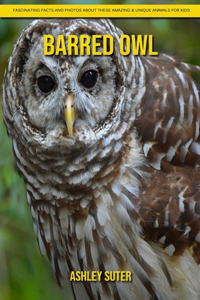 Barred Owl