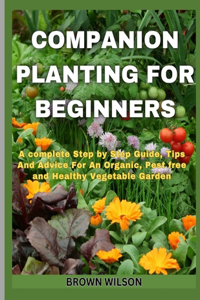 Companion Planting for Beginners