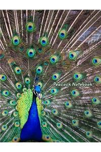 Peacock Notebook