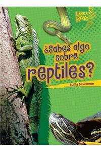 ¿Sabes algo sobre reptiles? (Do You Know about Reptiles?)