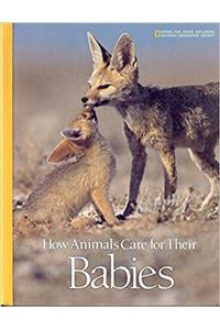How Animals Care for Their Babies