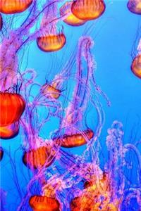 Jellyfish Journal