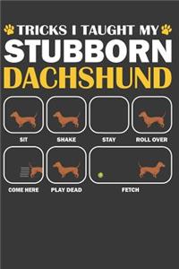 Dachshund Journal