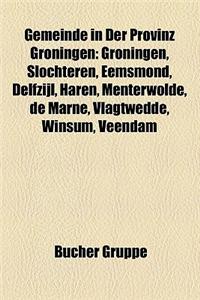 Gemeinde in Der Provinz Groningen