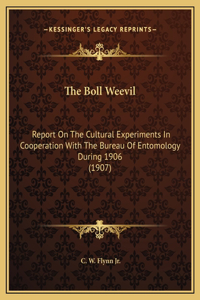 The Boll Weevil