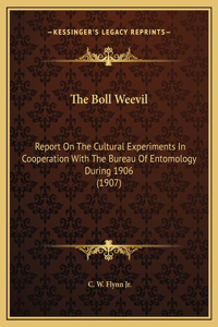 The Boll Weevil