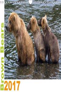 Brown Bears 2017 UK-Version 2017