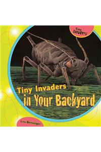 Tiny Invaders in Your Backyard