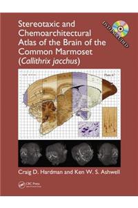 Stereotaxic and Chemoarchitectural Atlas of the Brain of the Common Marmoset (Callithrix jacchus)