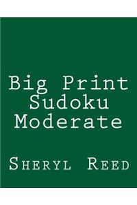 Big Print Sudoku Moderate
