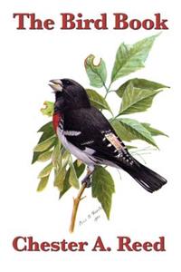 The Bird Book