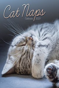 Cat Naps Mini Square Wall Calendar 2023