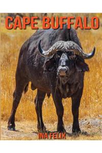 Cape Buffalo