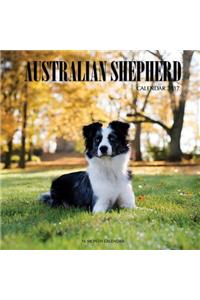 Australian Shepherd Calendar 2017