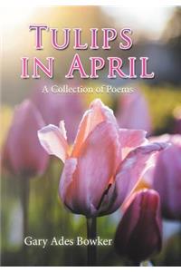 Tulips in April