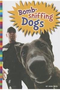 Bomb-Sniffing Dogs