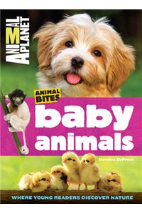 Baby Animals (Animal Planet Animal Bites)