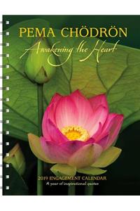 Pema Chodron 2019 Engagement Calendar: Awakening the Heart