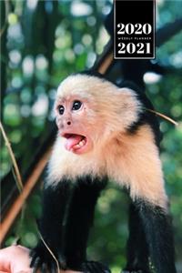 Monkey Ape Week Planner Weekly Organizer Calendar 2020 / 2021 - Stick out Tongue