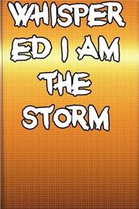 Whispered I Am The Storm