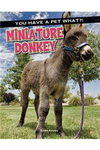 Miniature Donkey