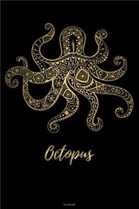 Octopus Notebook