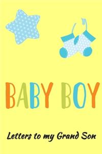 Letters to my Grandson