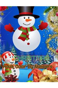 Christmas Adult Color By Numbers