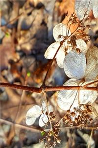2020 Weekly Planner 134 Dry Hydrangea Flowers 134 Pages