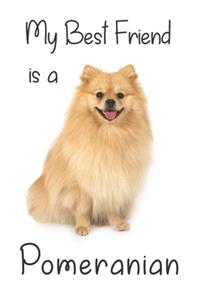 My best Friend is a Pomeranian