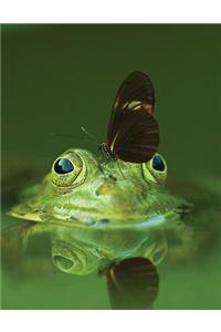 Butterfly and Frog Sketchbook