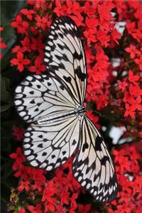 Stunning White and Black Butterfly Idea Malabarica with Red Flowers Journal