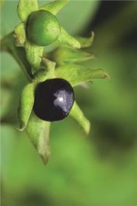 Atropa Belladonna Berries Journal