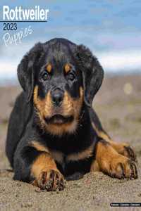 Rottweiler Puppies 2023 Wall Calendar