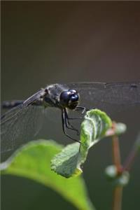 Dragonfly Landing on a Leaf Journal