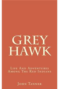 Grey Hawk