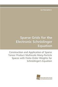 Sparse Grids for the Electronic Schrödinger Equation