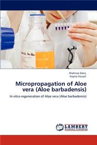 Micropropagation of Aloe vera (Aloe barbadensis)