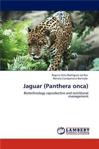 Jaguar (Panthera onca)