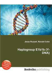 Haplogroup E1b1b (Y-Dna)