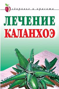 Kalanchoe Treatment