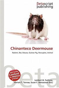 Chinanteco Deermouse