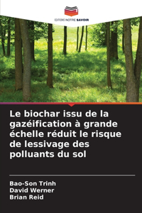 biochar issu de la gazéification à grande échelle réduit le risque de lessivage des polluants du sol