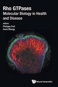 Rho Gtpases: Molecular Biology in Health and Disease