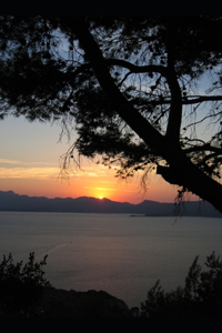 Another Sunrise