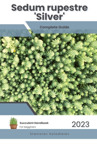 Sedum rupestre 'Silver': Succulent Handbook: Complete Guide to Growing Succulent Plant
