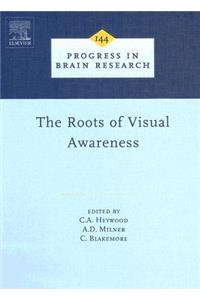 Roots of Visual Awareness