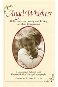 Angel Whiskers